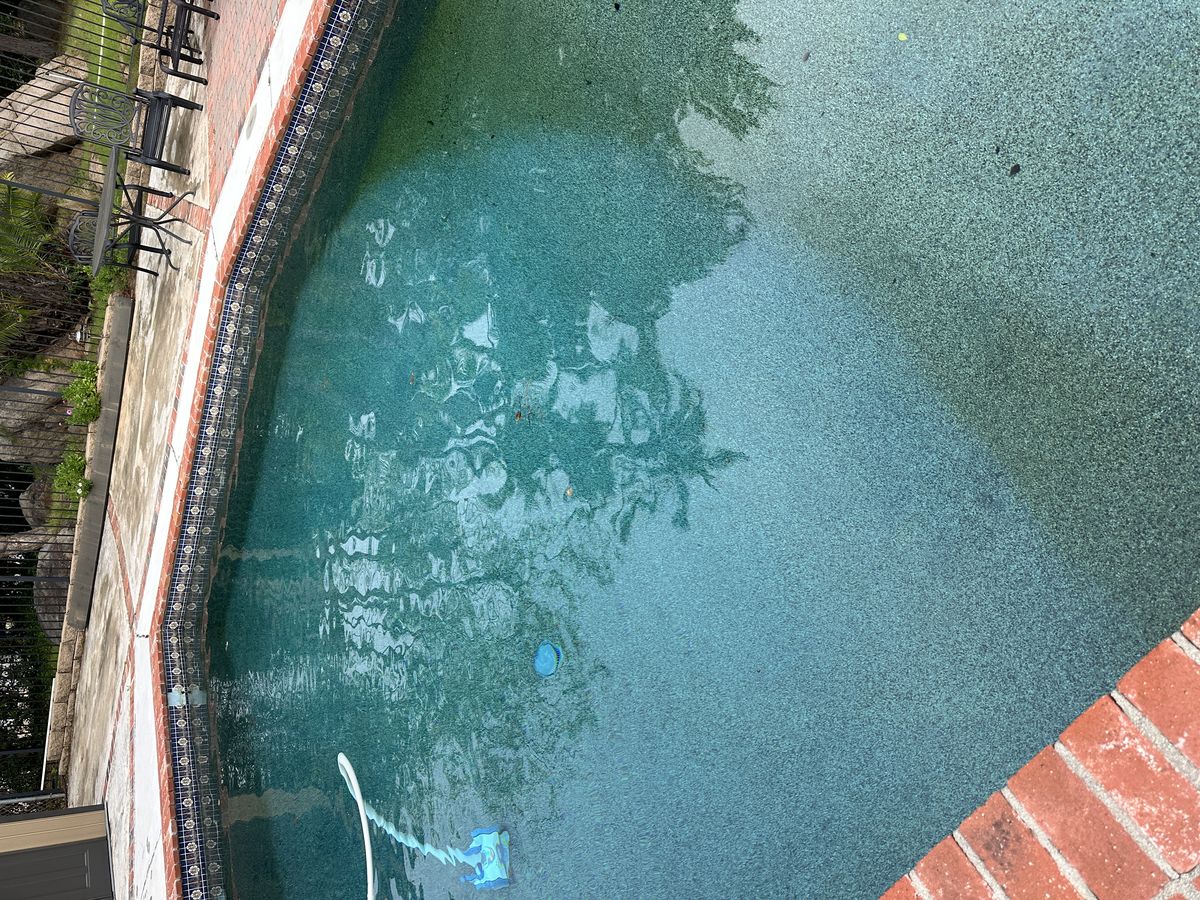 A pool with a shortened vacuum hose, showing the cleaned lighter zone next to the darker area where algae is starting to settle.
